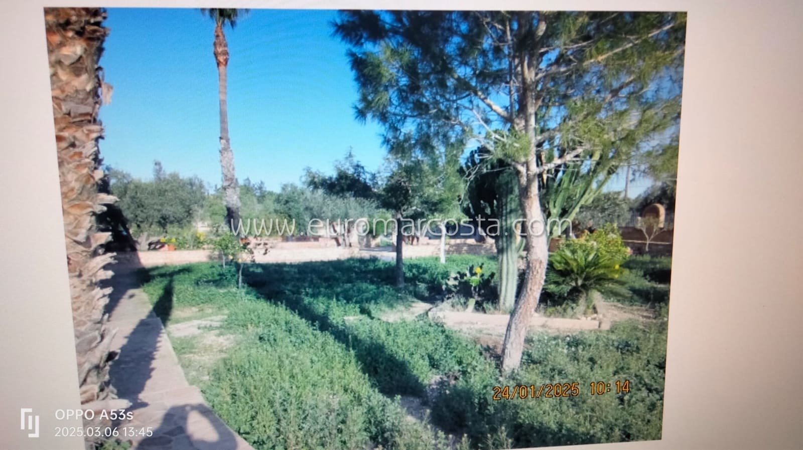 4 soveværelse Finca/Landehus til salg i Los Montesinos med swimmingpool garage - € 670.000 (Ref: 8916751)