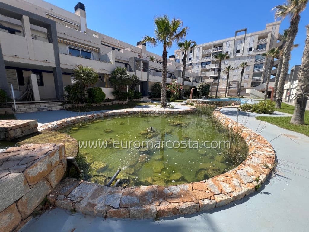 1 soveværelse Lejlighed til salg i La Mata med swimmingpool - € 190.000 (Ref: 9025526)