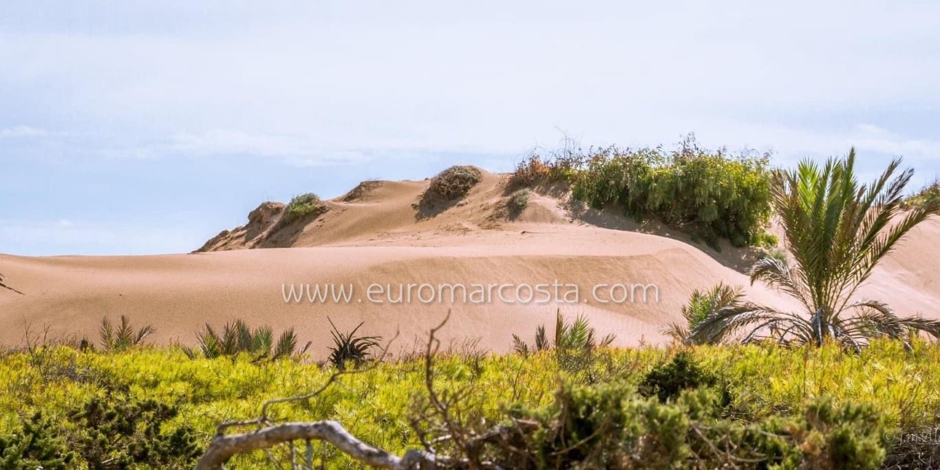 3 sovrum Villa till salu i Guardamar del Segura med pool garage - 220 000 € (Ref: 9111464)