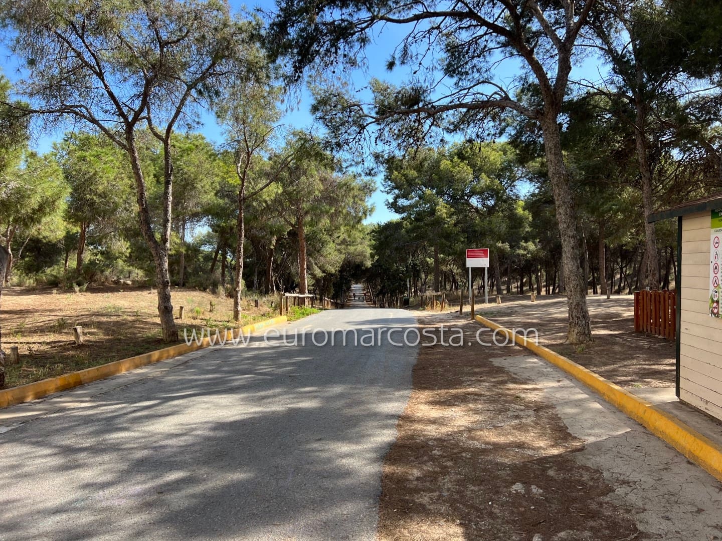 3 sovrum Villa till salu i Guardamar del Segura med pool garage - 220 000 € (Ref: 9111464)