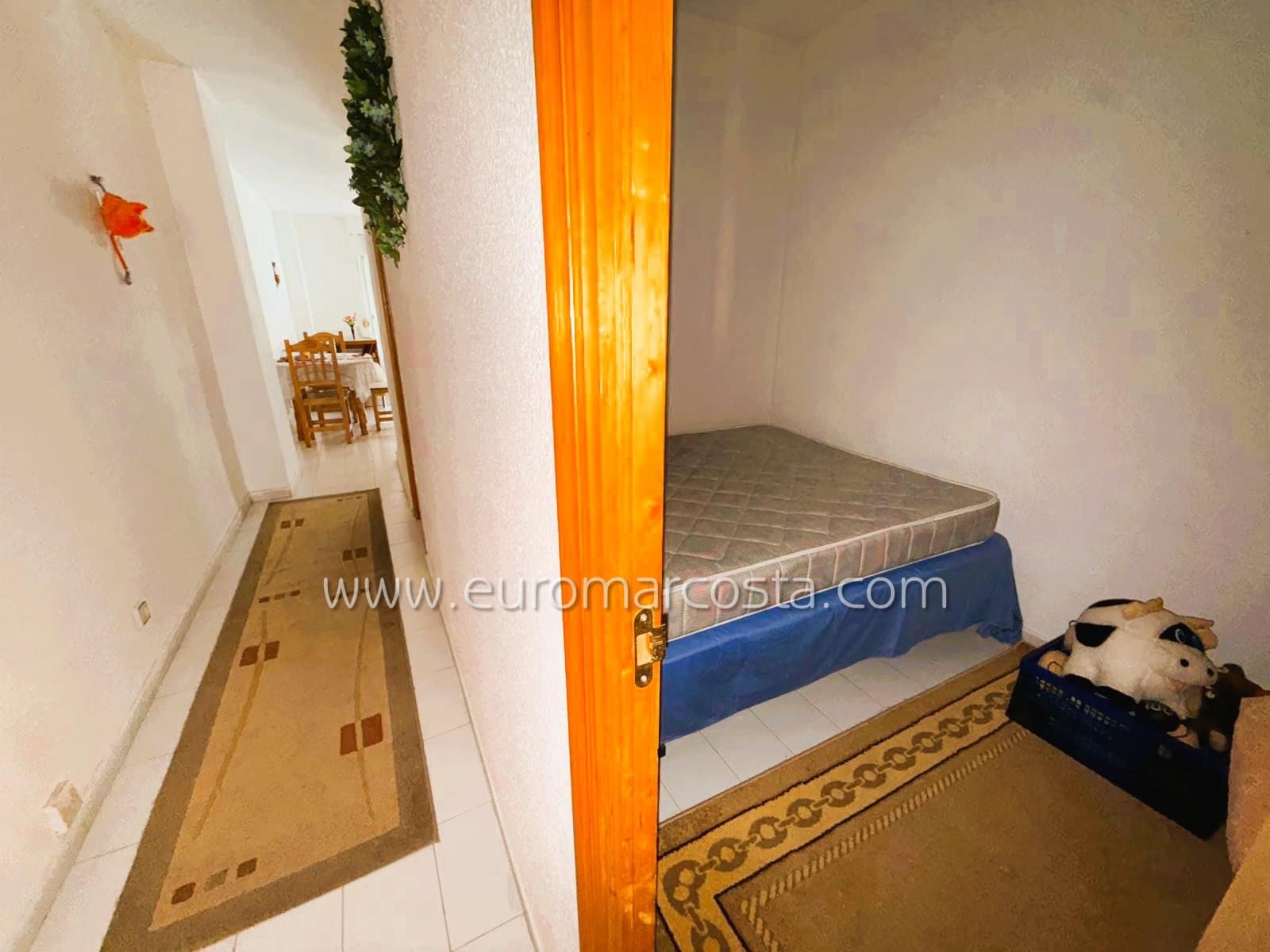 1 bedroom Apartment for sale in Guardamar del Segura - € 105,000 (Ref: 9172312)