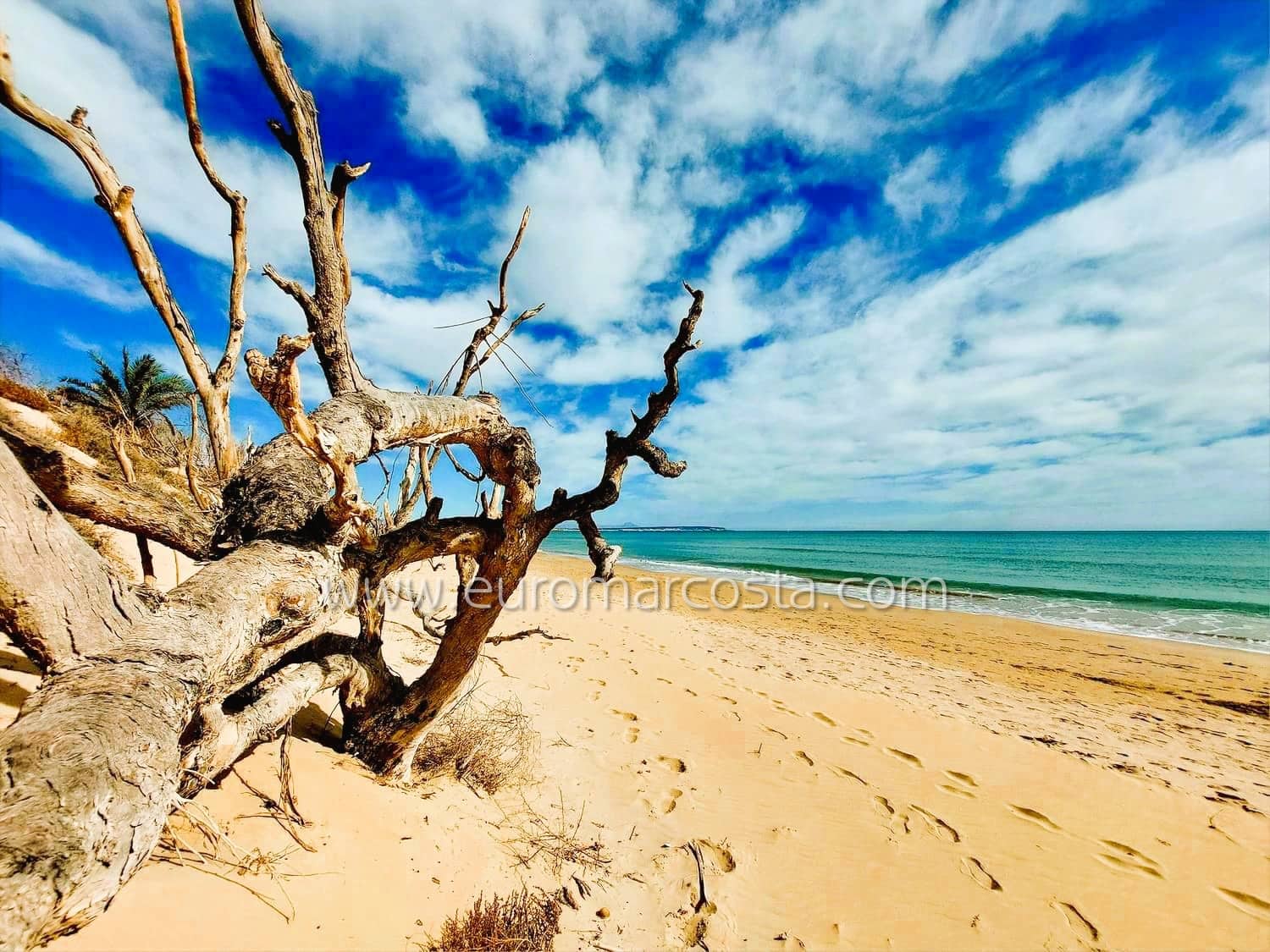 2 quarto Apartamento para venda em Guardamar del Segura - 162 900 € (Ref: 9193365)