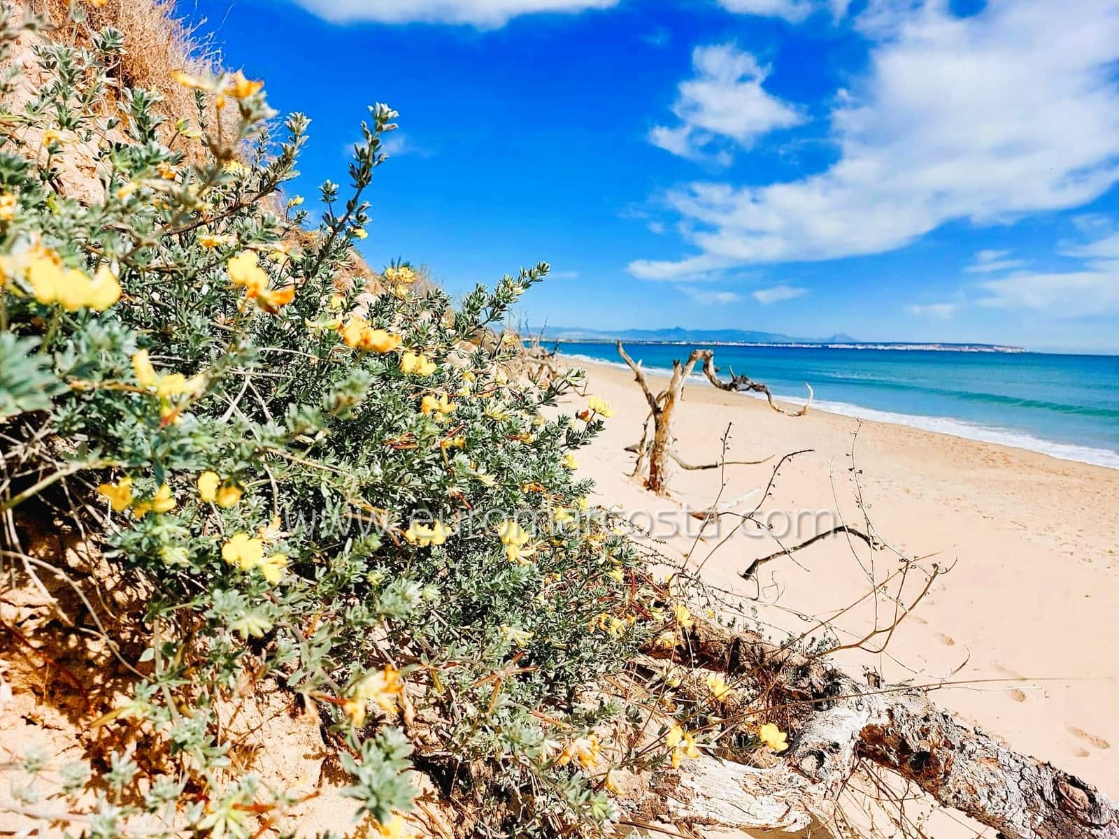 2 quarto Apartamento para venda em Guardamar del Segura - 162 900 € (Ref: 9193365)