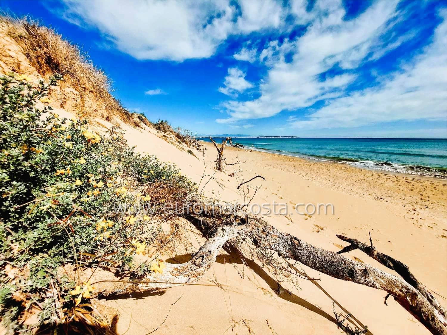 2 quarto Apartamento para venda em Guardamar del Segura - 162 900 € (Ref: 9193365)