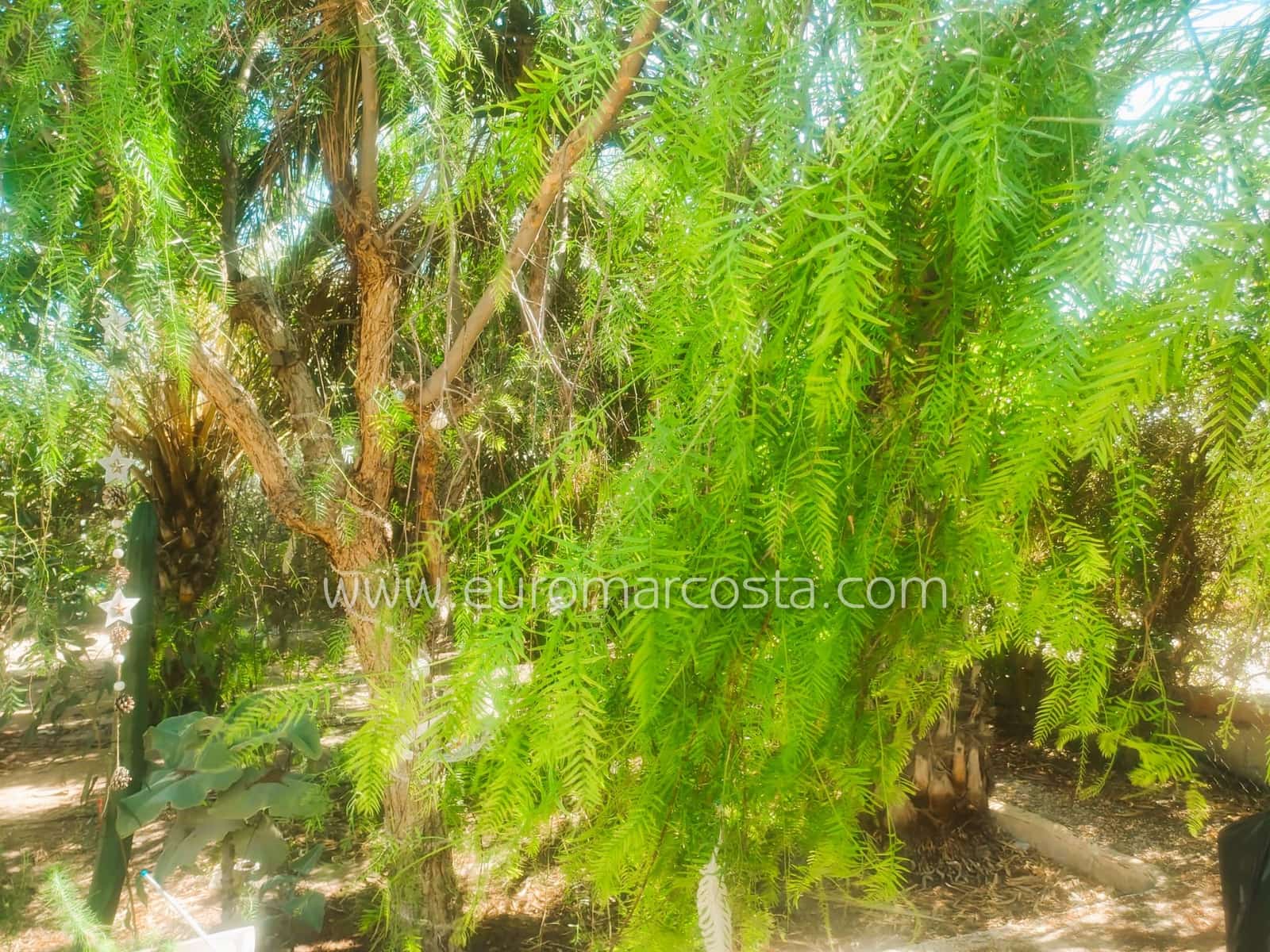 1 makuuhuone Maalaistalo myytävänä paikassa Daimes mukana uima-altaan 
autotalli - 199 500 € (Ref: 9247886)