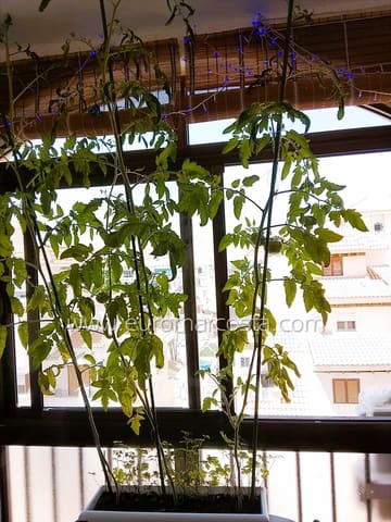 Studio à vendre à La Mata, Torrevieja avec piscine - 97 600 € (Ref: 9343606)