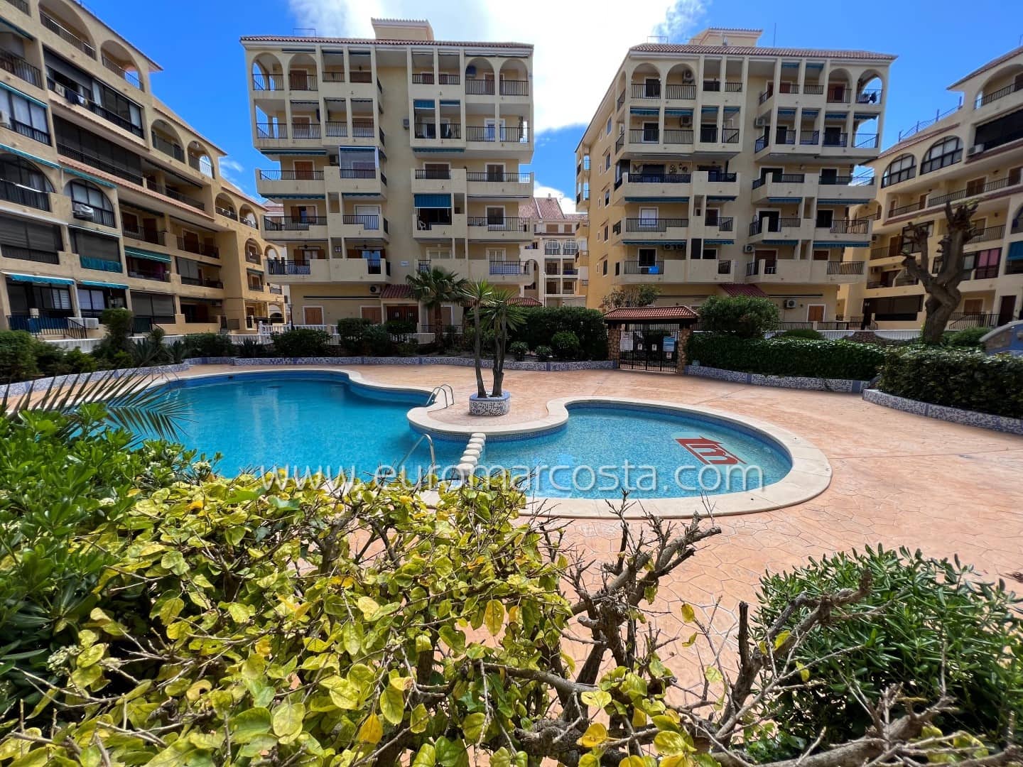 Studio à vendre à La Mata avec piscine - 97 600 € (Ref: 9343606)