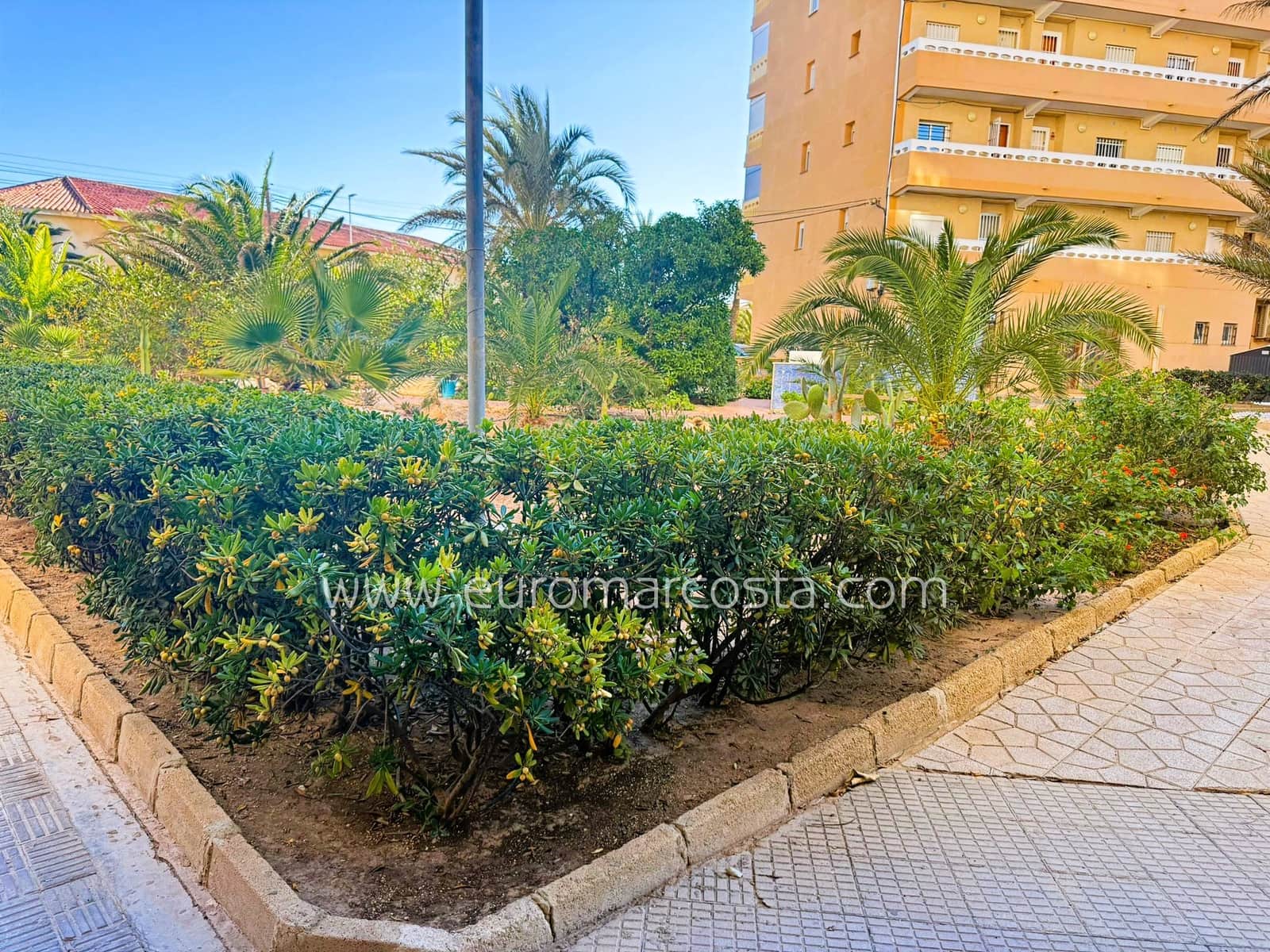 1 bedroom Apartment for sale in La Mata - € 136,000 (Ref: 9464875)