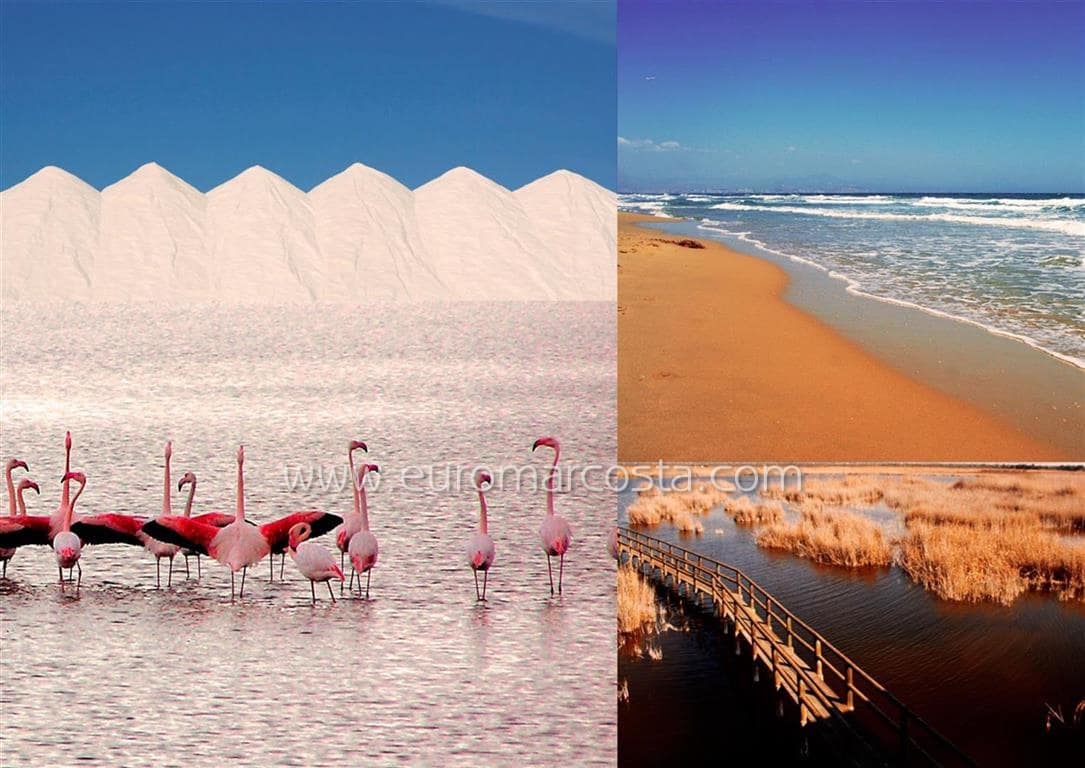 2 soverom Leilighet til salgs i Guardamar del Segura med svømmebasseng garasje - € 181 900 (Ref: 9685905)