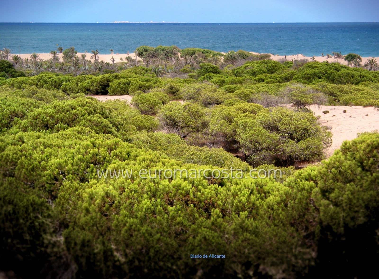 2 soverom Leilighet til salgs i Guardamar del Segura - € 179 000 (Ref: 9783435)