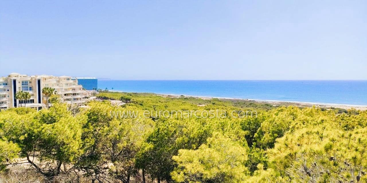 3 chambre Villa/Maison Mitoyenne à vendre à Guardamar del Segura avec piscine - 210 000 € (Ref: 9832301)