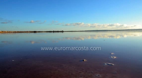 1 bedroom Terraced Villa for sale in Torrevieja - € 97,000 (Ref: 9839949)