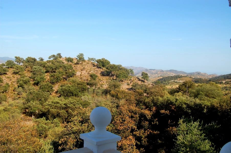 3 bedroom Villa for sale in Almogía with pool garage € 245,000 (Ref