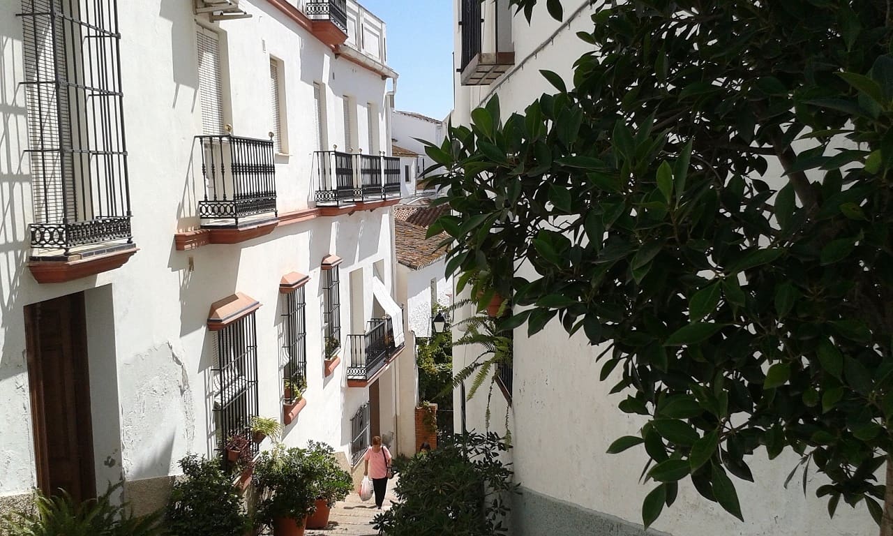 3 bedroom Villa for sale in Almogía with pool garage € 245,000 (Ref