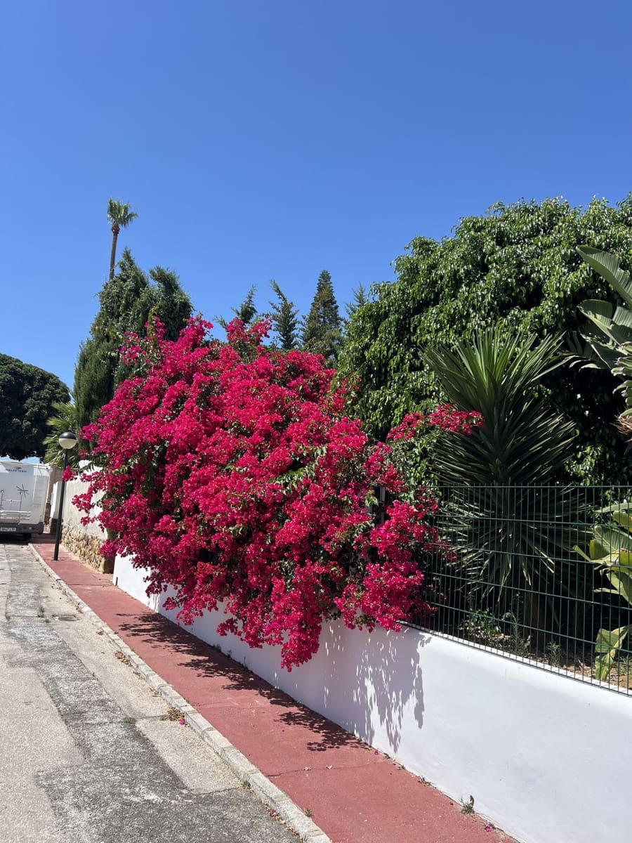 3 sypialnia Willa na sprzedaż w La Duquesa / Puerto de la Duquesa z basenem garażem - 990 000 € (Ref: 10057703)