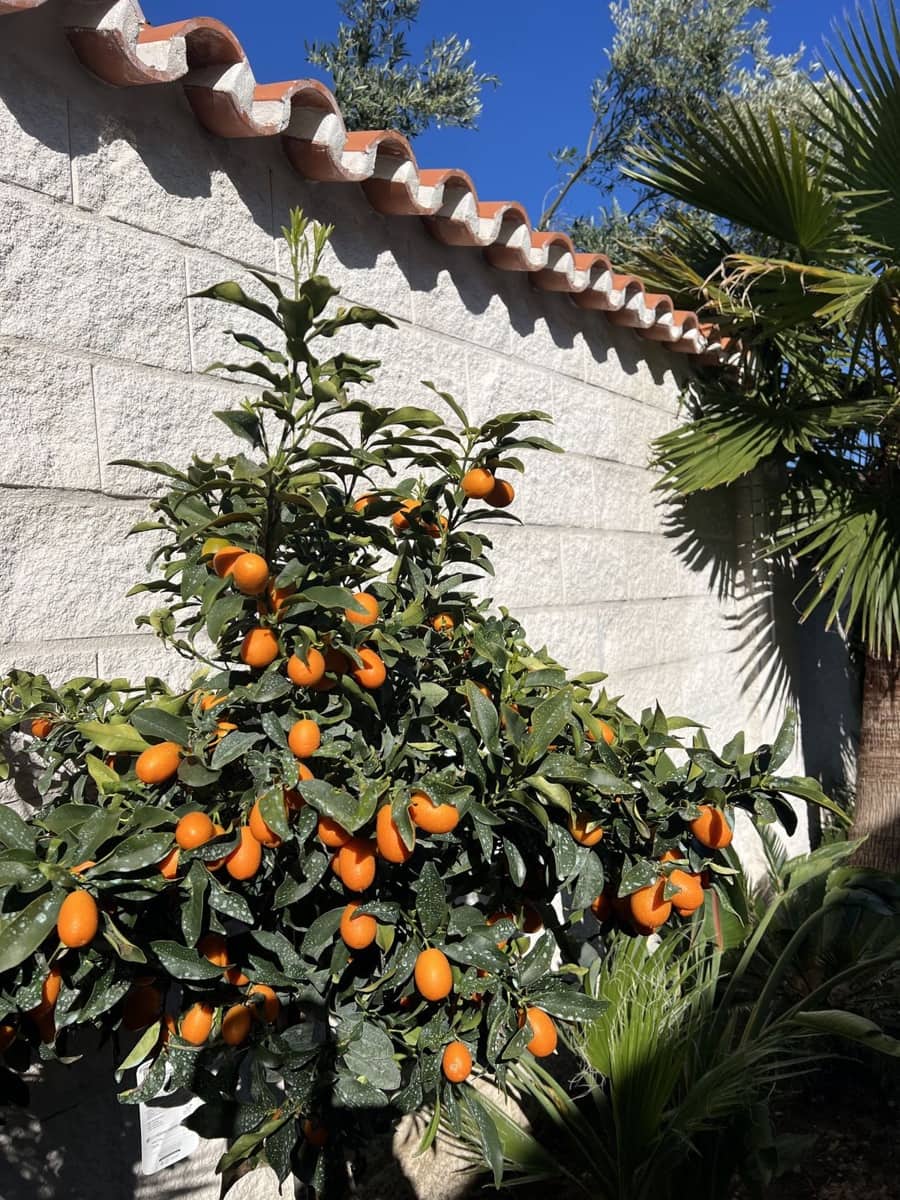3 sypialnia Willa na sprzedaż w La Duquesa / Puerto de la Duquesa z basenem garażem - 990 000 € (Ref: 10057703)