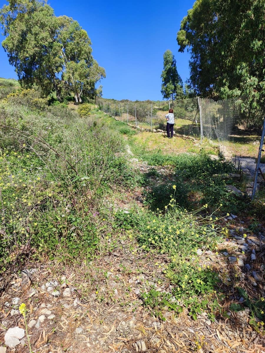 Ubebygd land til salgs i Estepona - € 636 000 (Ref: 8433172)