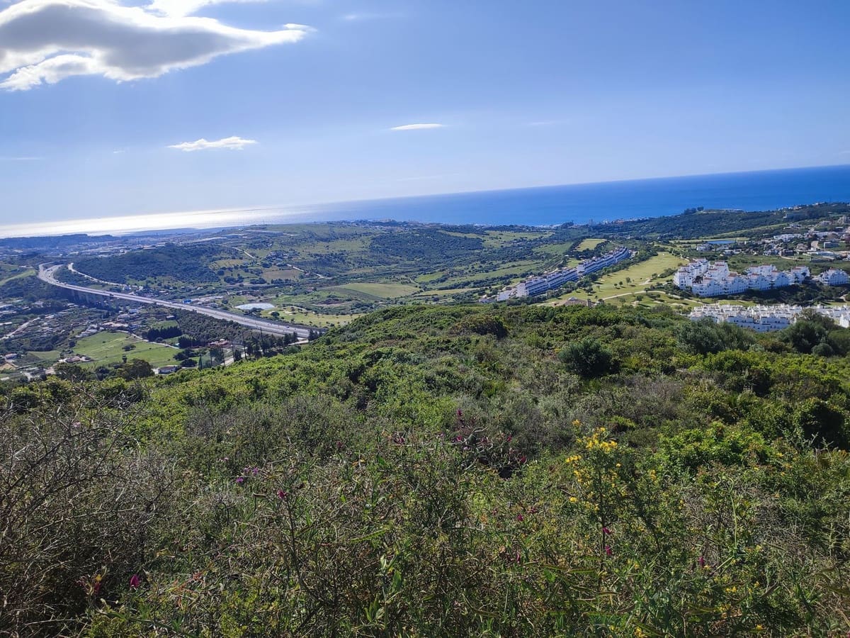 Terreno/Finca Rústica en Estepona en venta - 636.000 € (Ref: 8433172)