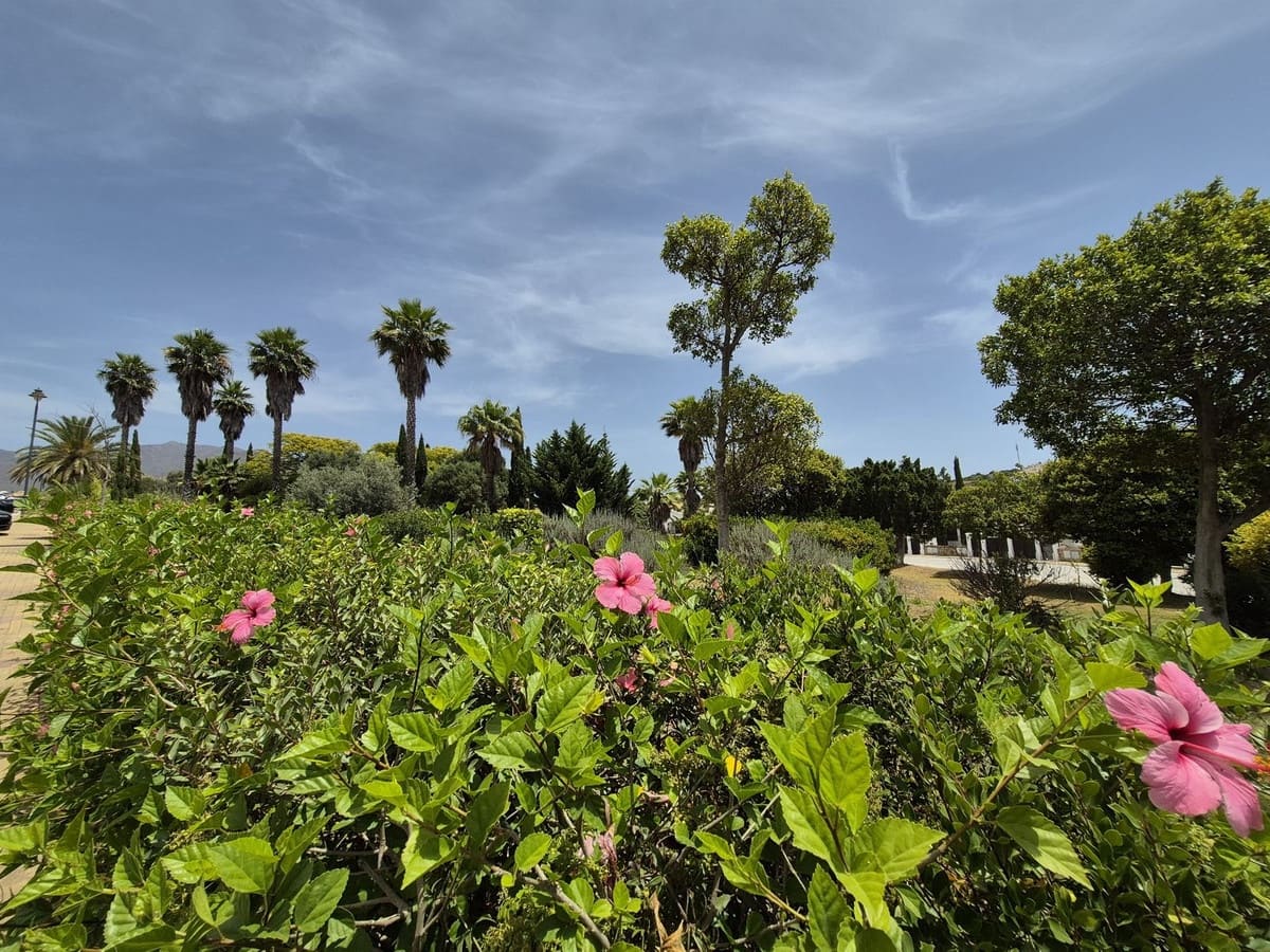 Pareado de 4 habitaciones en Estepona en venta con garaje - 865.000 € (Ref: 9914699)
