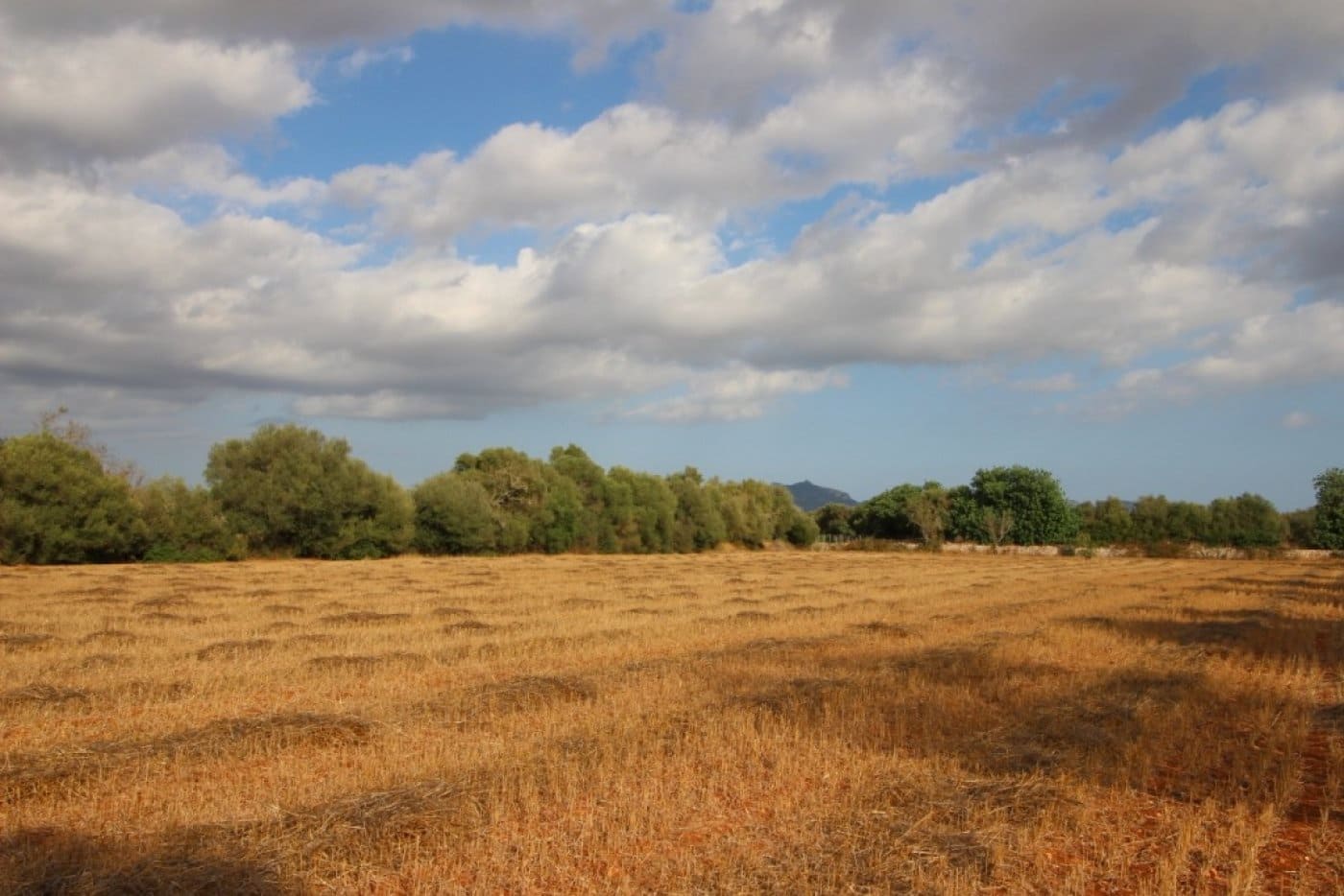 Mark till salu i Felanitx - 155 000 € (Ref: 4265028)