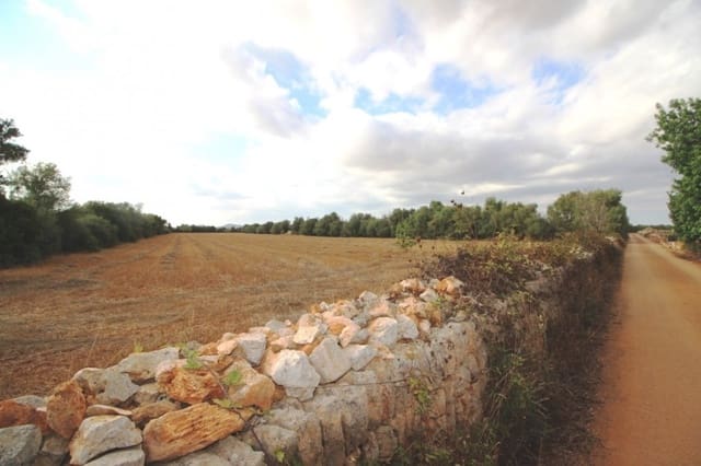 Mark till salu i Felanitx - 155 000 € (Ref: 4265028)