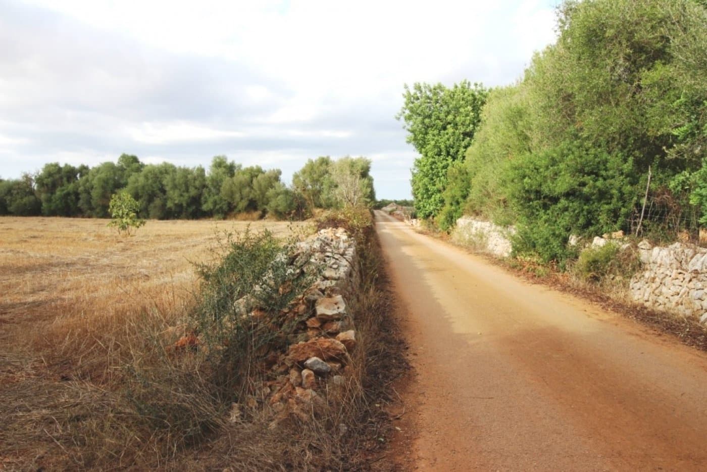 Mark till salu i Felanitx - 155 000 € (Ref: 4265028)