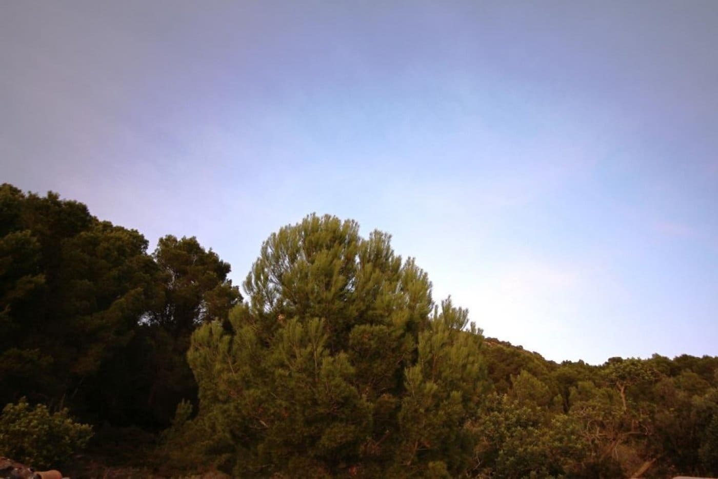 2 chambre Finca/Maison de Campagne à vendre à Llucmajor - 1 500 000 € (Ref: 4489792)