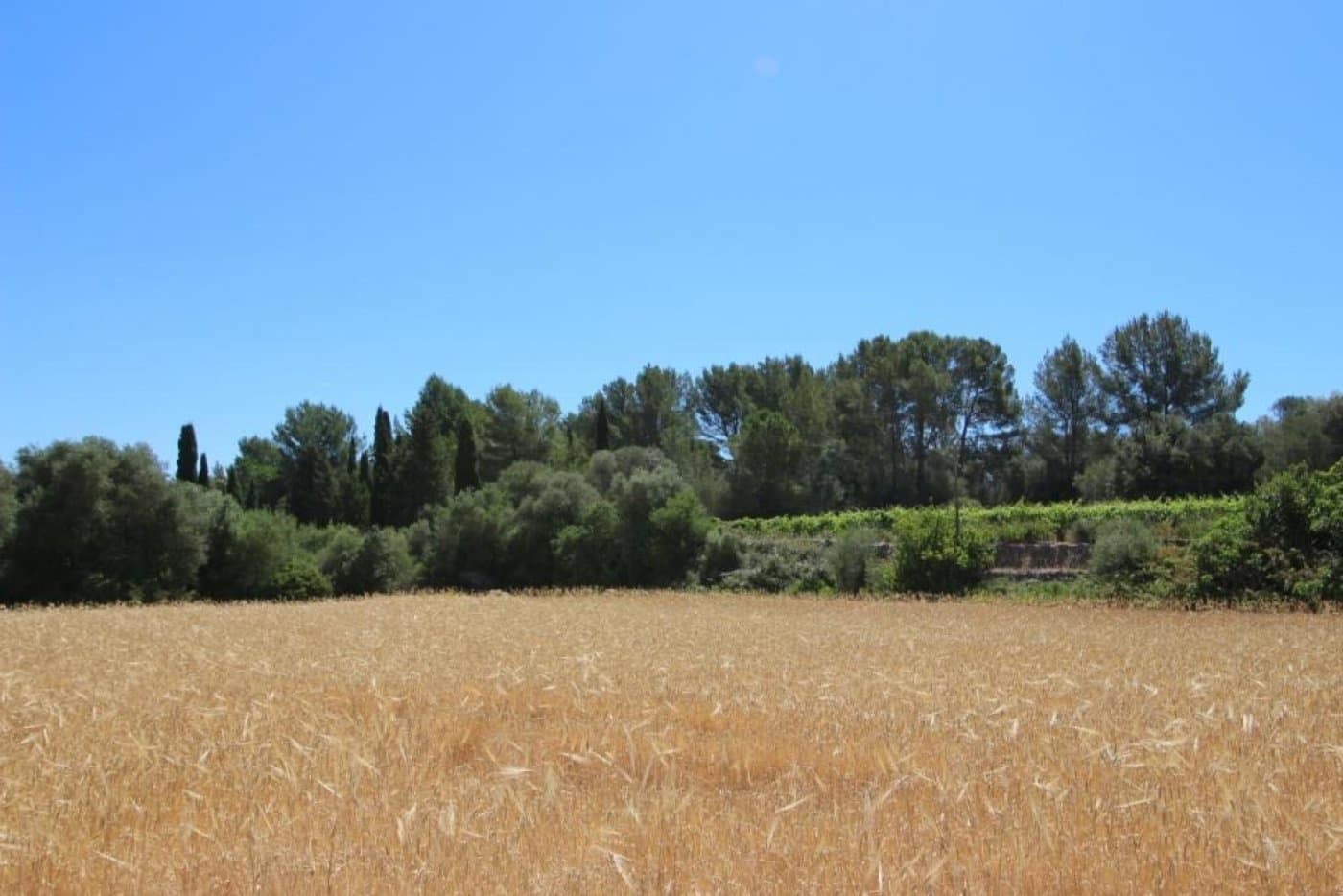 Building Plot for sale in Porreres - € 335,000 (Ref: 4917127)