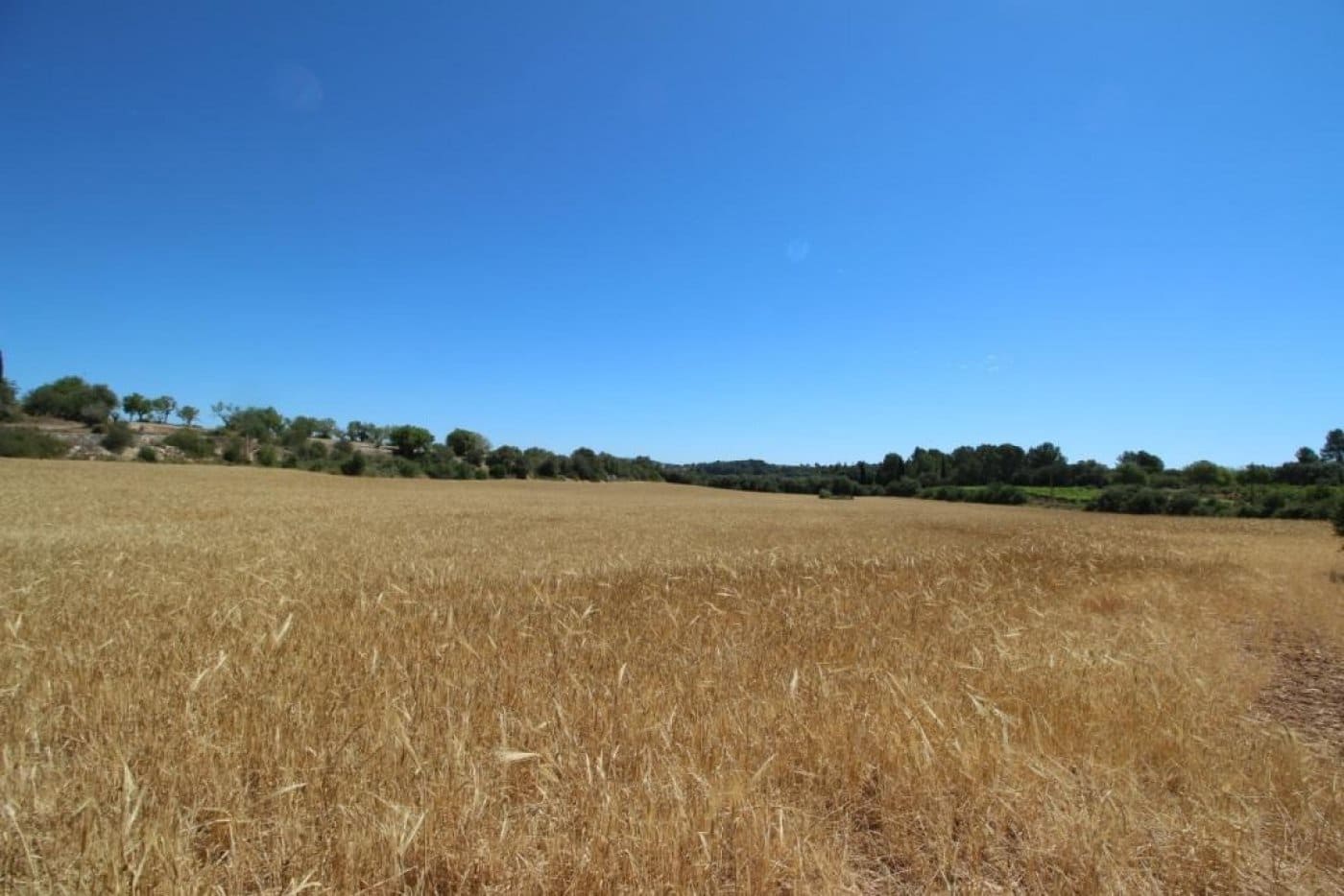 Building Plot for sale in Porreres - € 335,000 (Ref: 4917127)