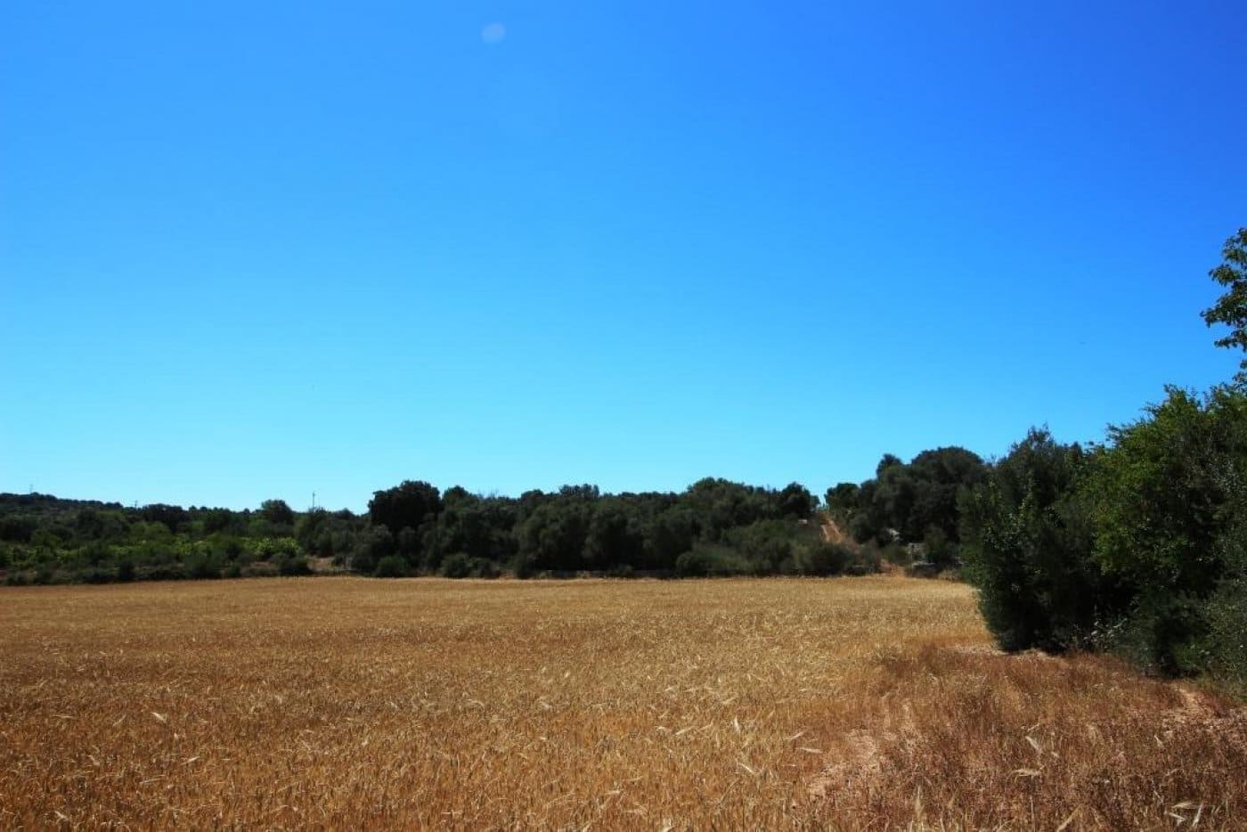 Building Plot for sale in Porreres - € 335,000 (Ref: 4917127)