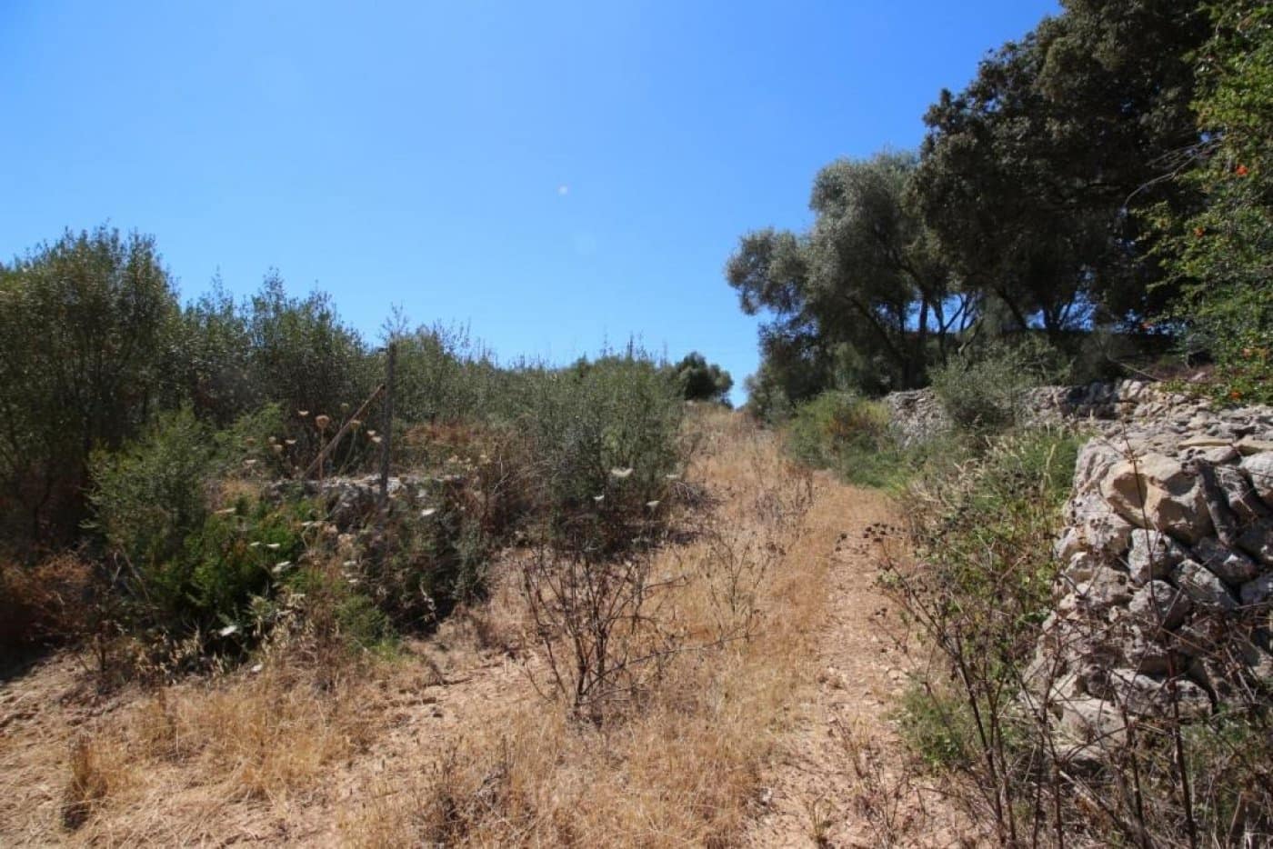 Building Plot for sale in Porreres - € 335,000 (Ref: 4917127)