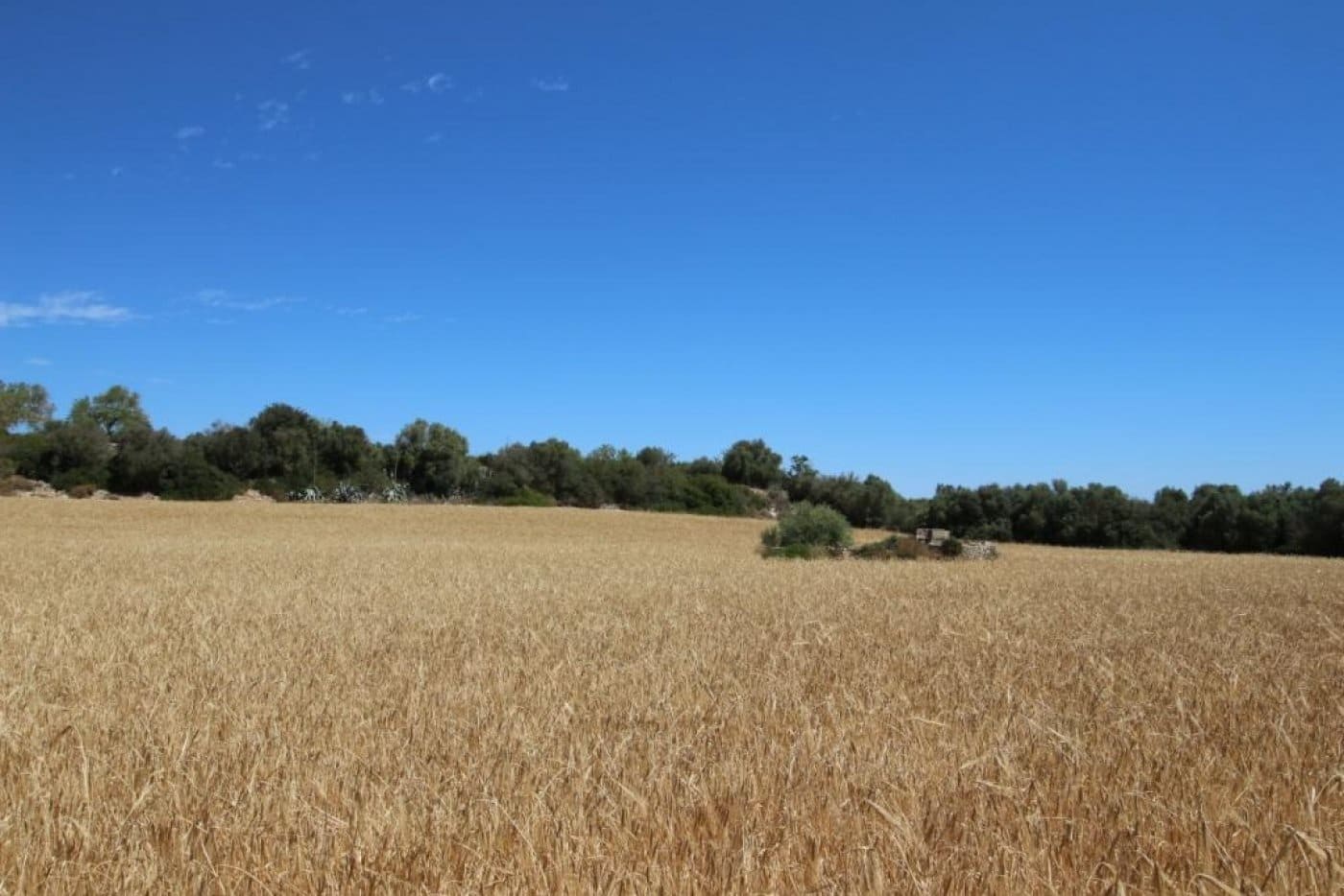 Building Plot for sale in Porreres - € 335,000 (Ref: 4917127)