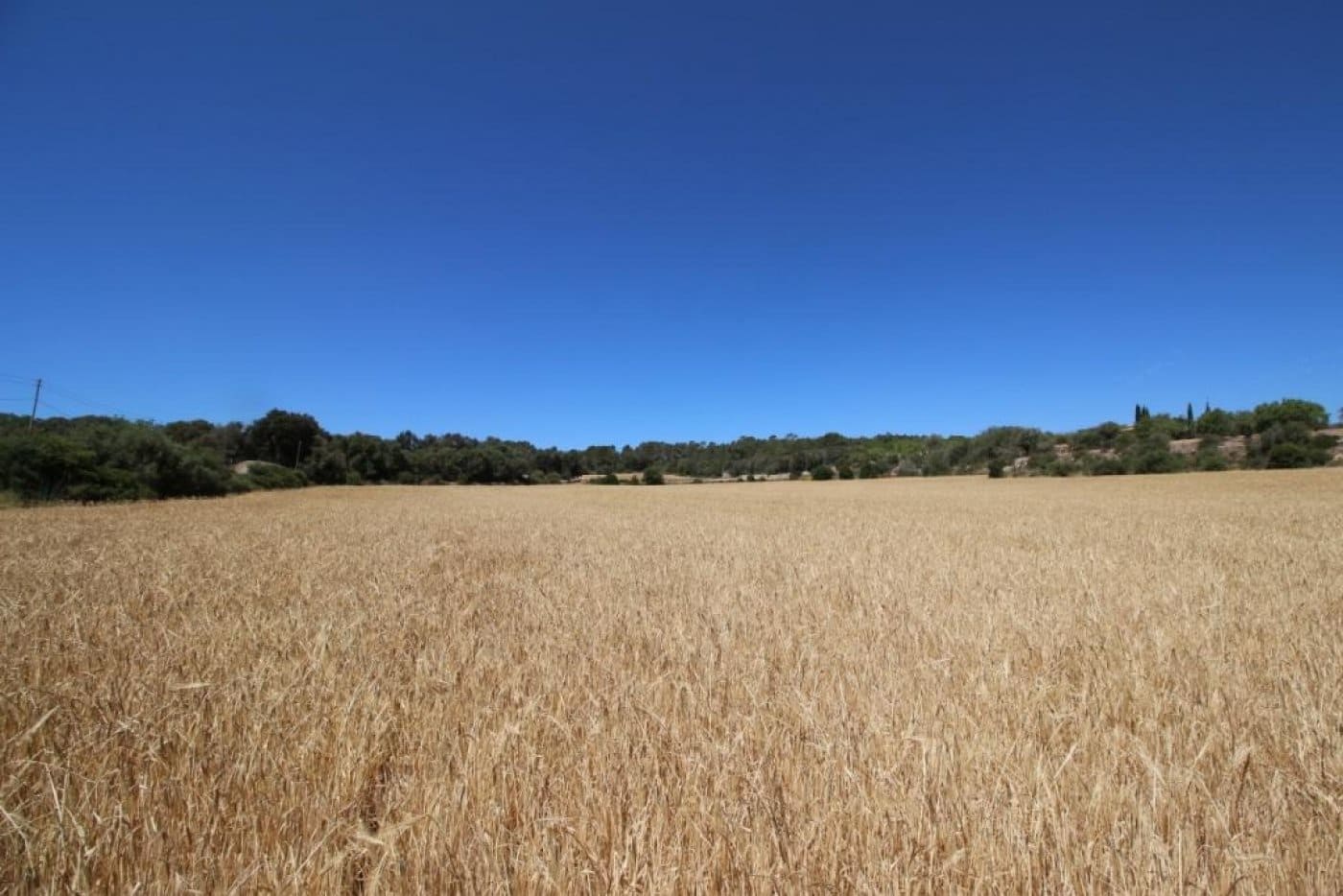 Building Plot for sale in Porreres - € 335,000 (Ref: 4917127)