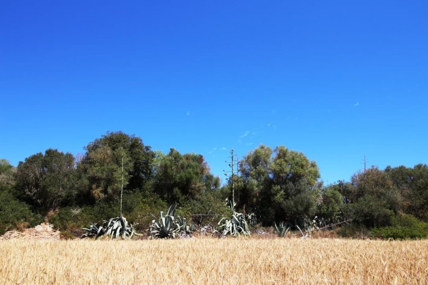 Building Plot for sale in Porreres - € 335,000 (Ref: 4917127)
