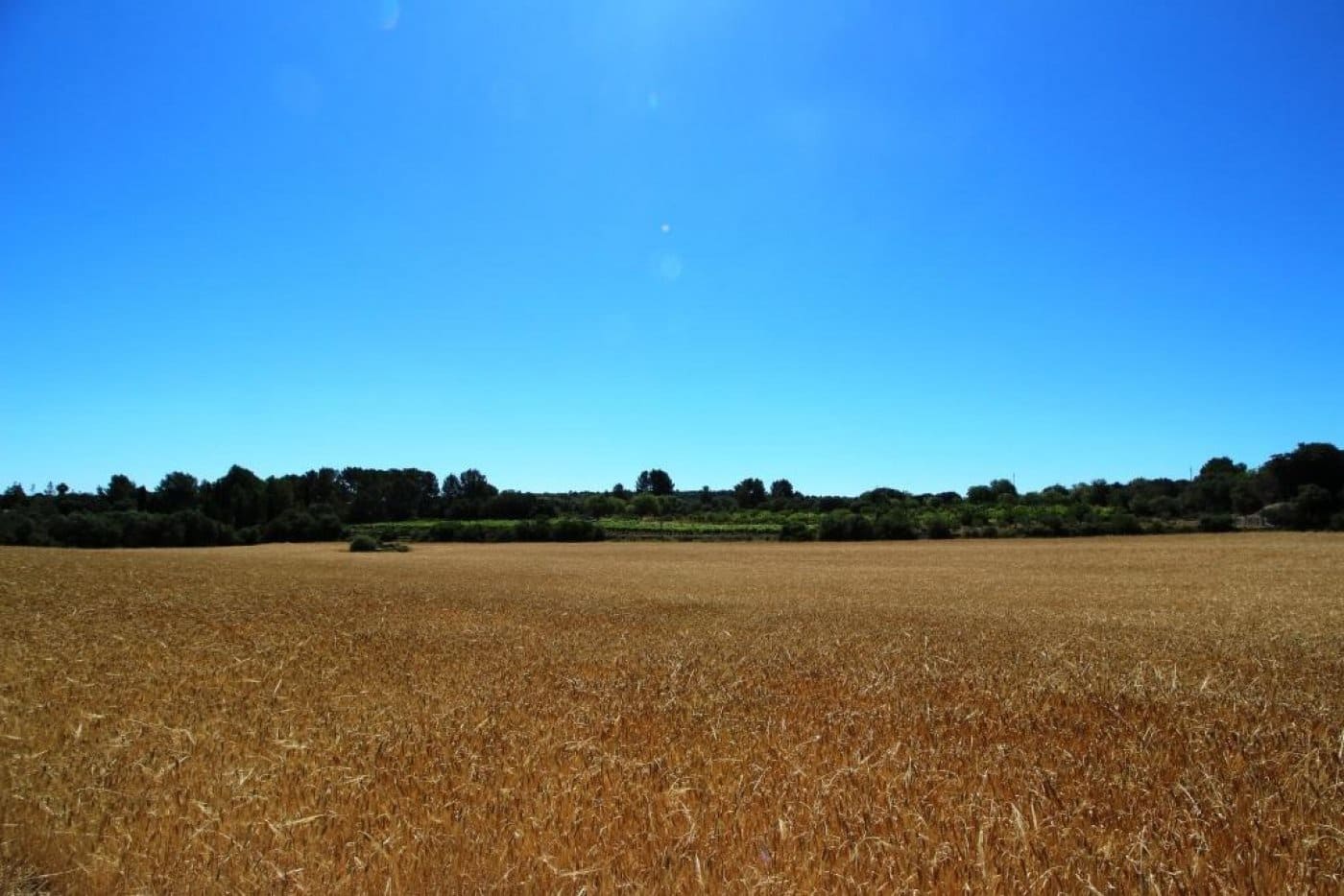 Building Plot for sale in Porreres - € 335,000 (Ref: 4917127)