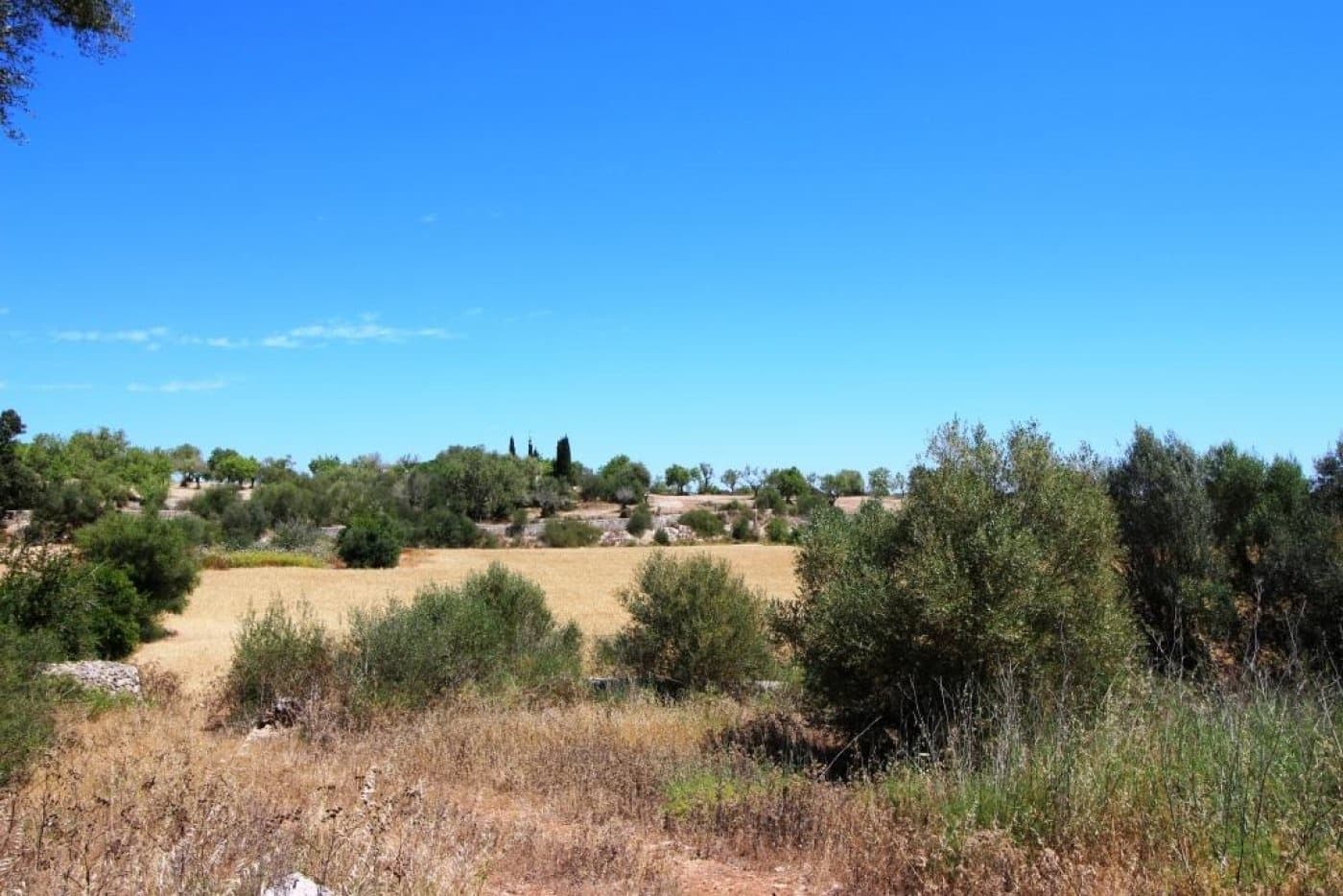 Building Plot for sale in Porreres - € 335,000 (Ref: 4917127)