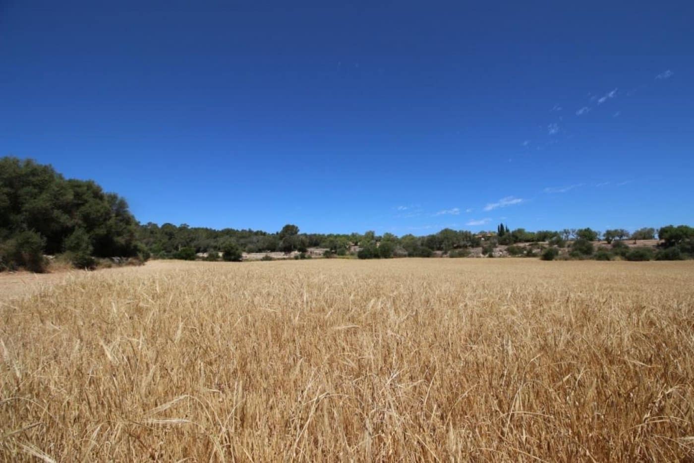 Building Plot for sale in Porreres - € 335,000 (Ref: 4917127)