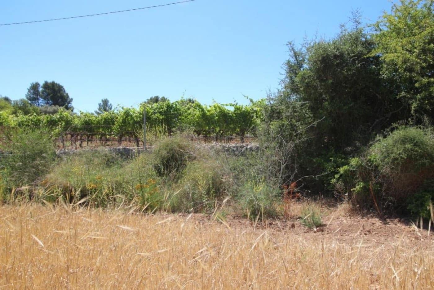 Building Plot for sale in Porreres - € 335,000 (Ref: 4917127)