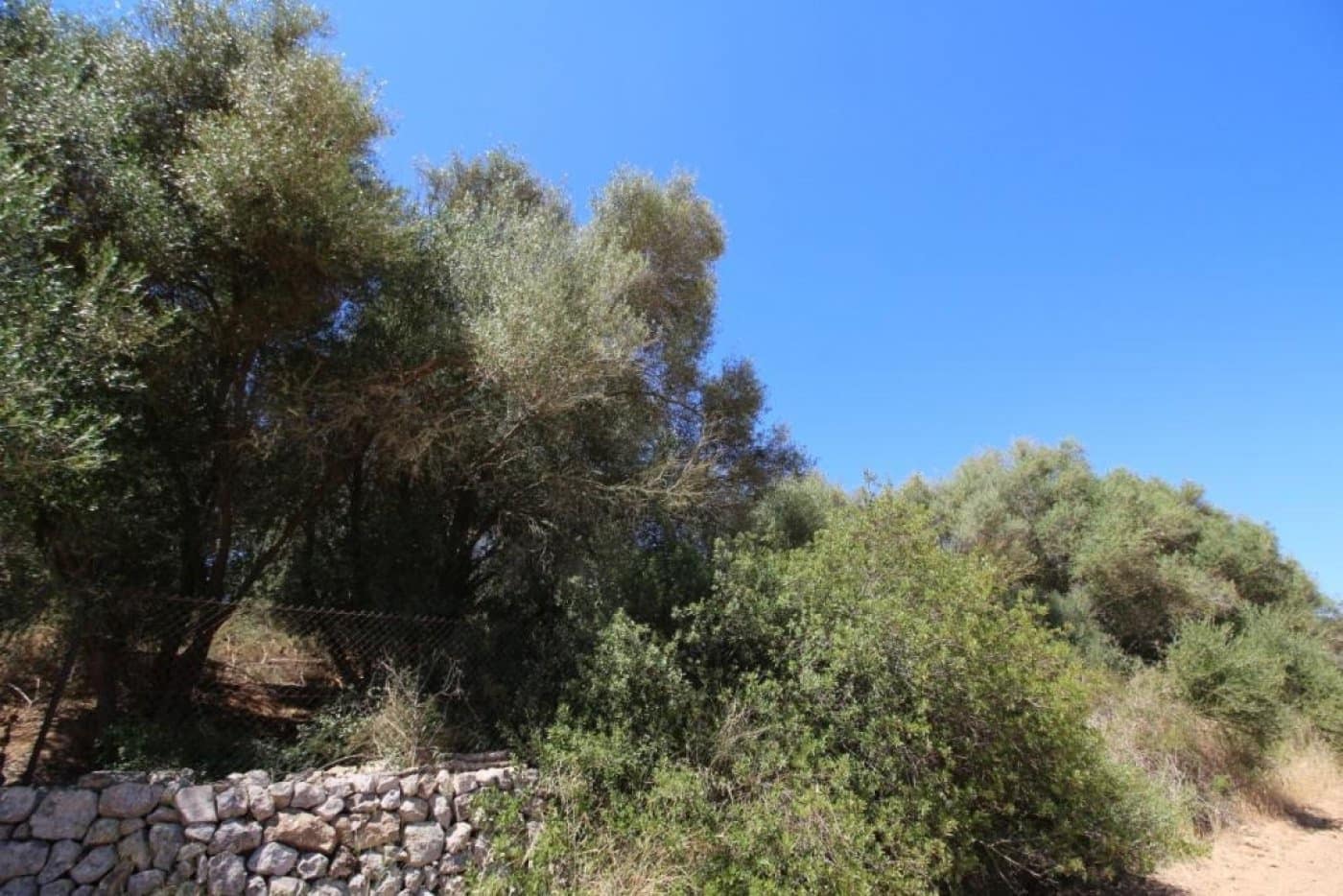 Building Plot for sale in Porreres - € 335,000 (Ref: 4917127)