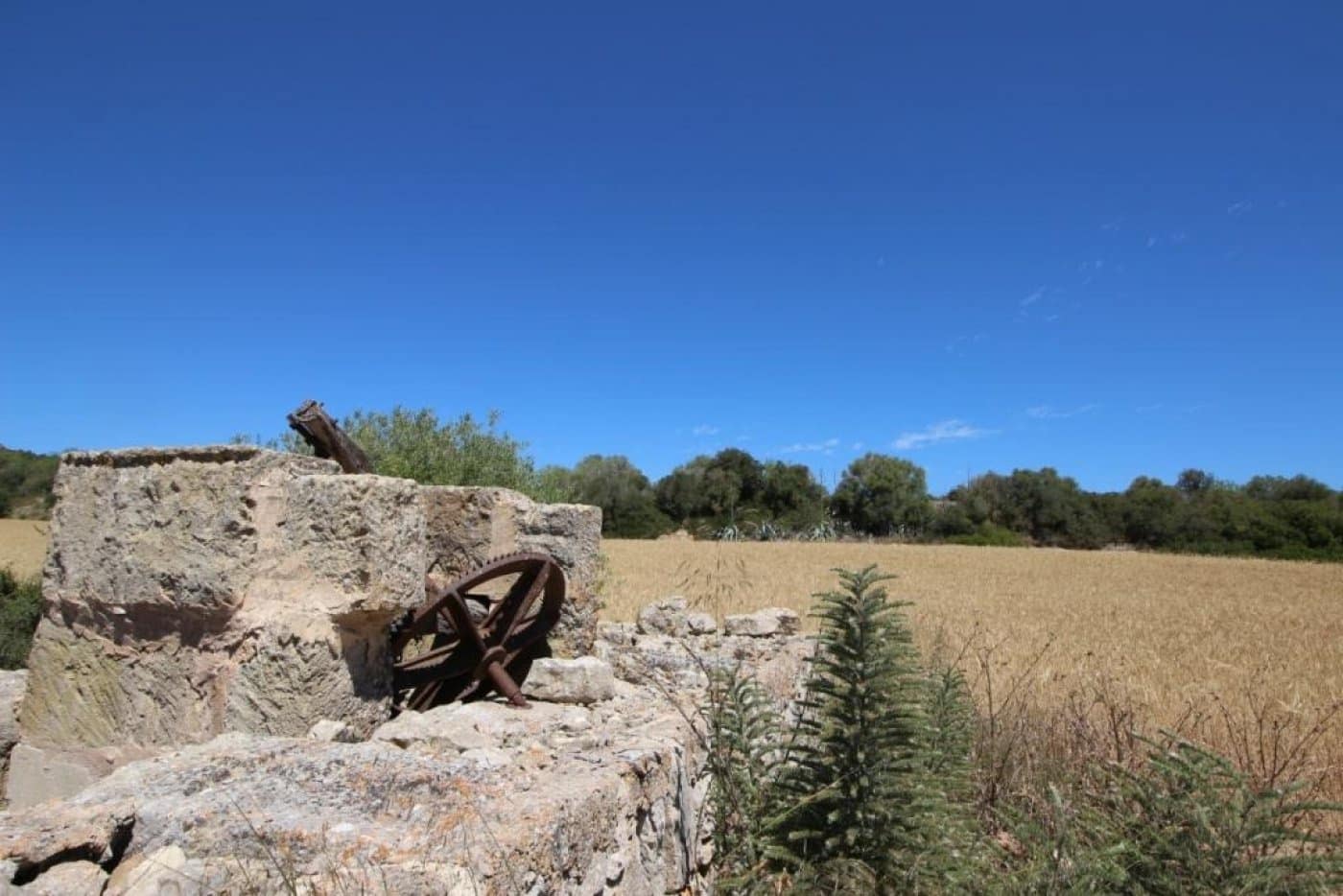 Building Plot for sale in Porreres - € 335,000 (Ref: 4917127)