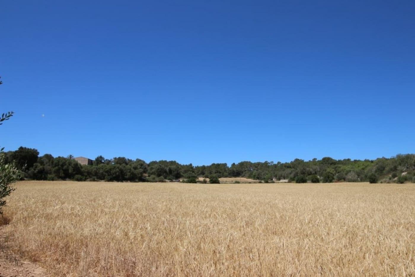 Building Plot for sale in Porreres - € 335,000 (Ref: 4917127)