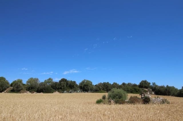 Building Plot for sale in Porreres - € 335,000 (Ref: 4917127)