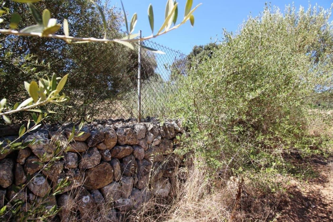 Building Plot for sale in Porreres - € 335,000 (Ref: 4917127)