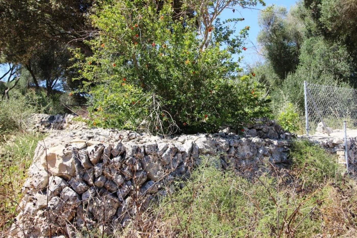 Building Plot for sale in Porreres - € 335,000 (Ref: 4917127)