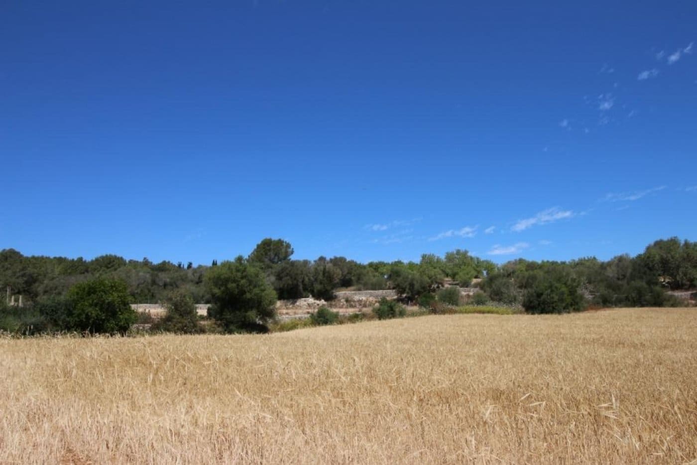 Building Plot for sale in Porreres - € 335,000 (Ref: 4917127)