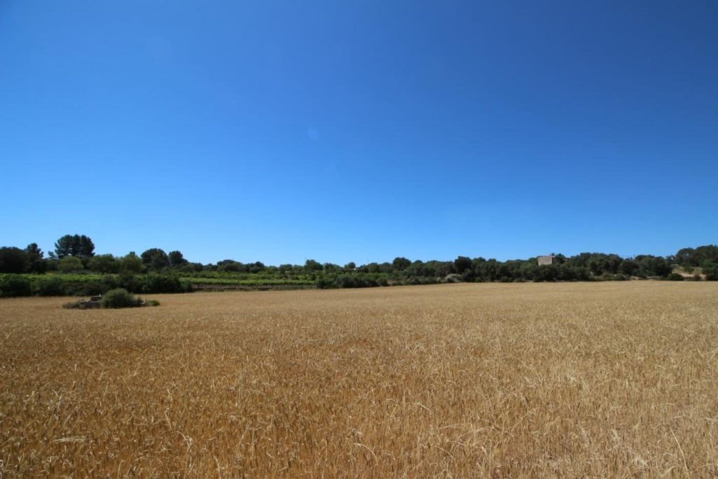 Building Plot for sale in Porreres - € 335,000 (Ref: 4917127)