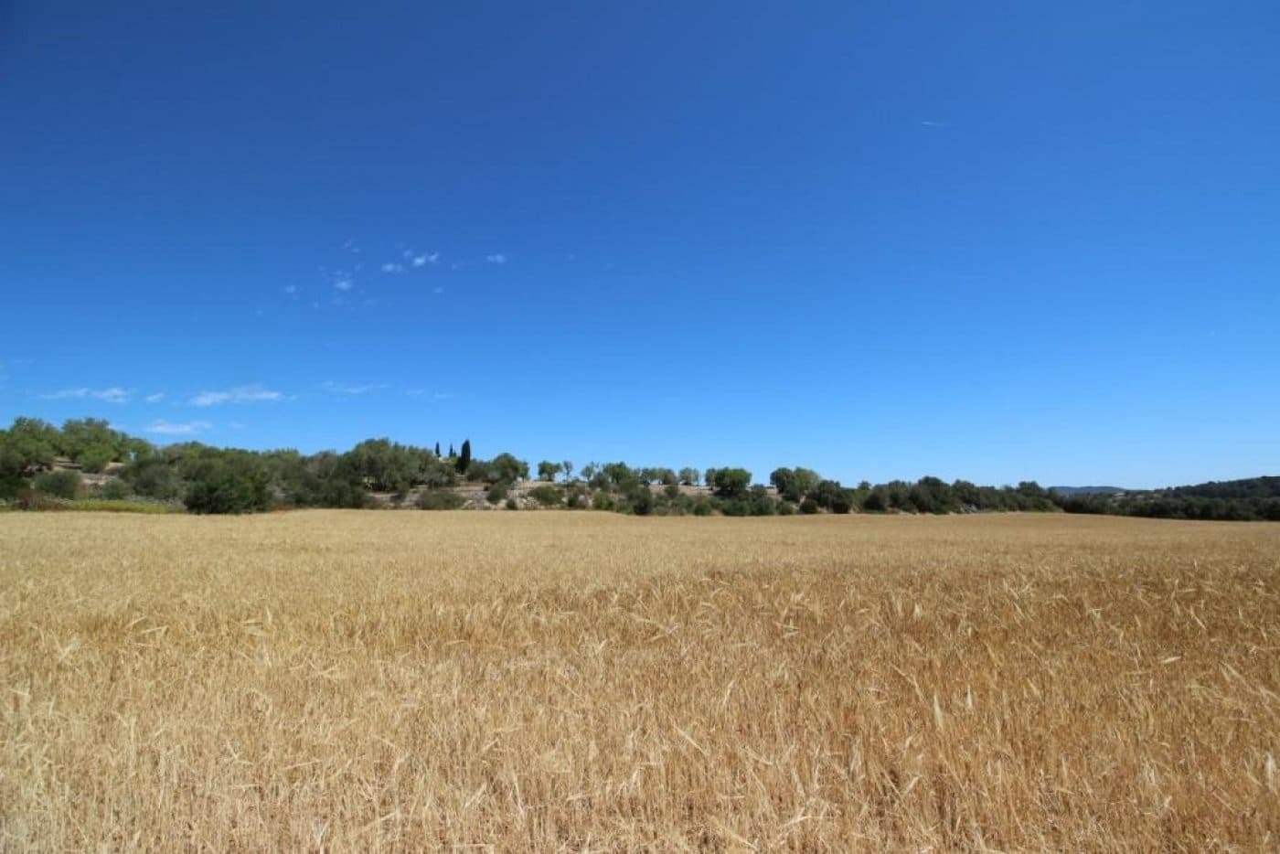 Building Plot for sale in Porreres - € 335,000 (Ref: 4917127)