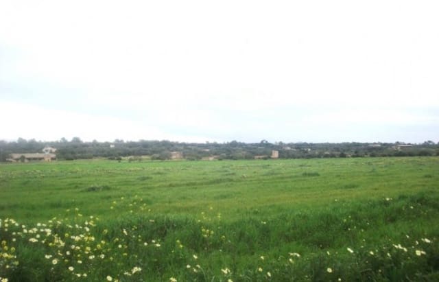 Mark till salu i Campos - 140 000 € (Ref: 6163078)