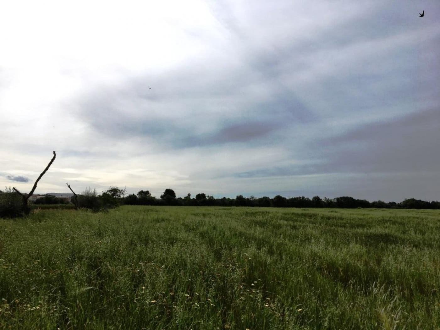 Grunde uden byggetilladelser til salg i Campos - € 140.000 (Ref: 6163078)