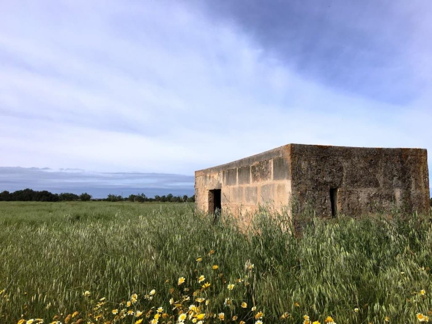 Grunde uden byggetilladelser til salg i Campos - € 140.000 (Ref: 6163078)